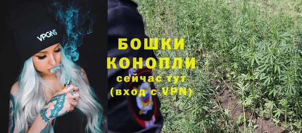 твердый Аркадак