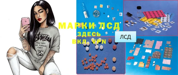 прущие грибы Усмань