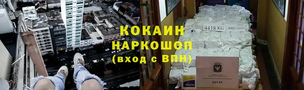 PSILOCYBIN Нефтегорск
