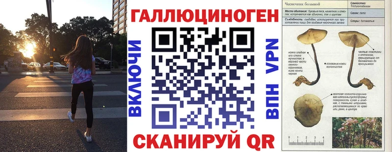 купить  сайты  Усмань  Псилоцибиновые грибы GOLDEN TEACHER 