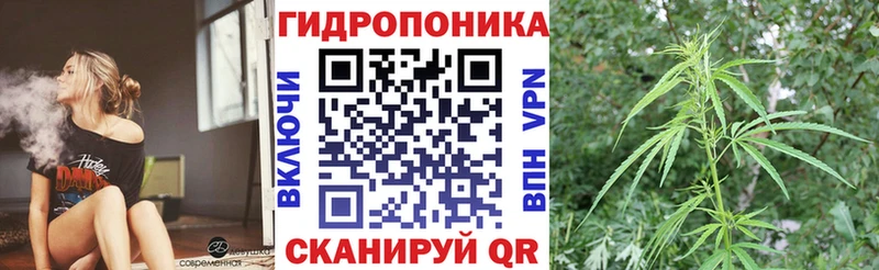 Канабис индика  Усмань 